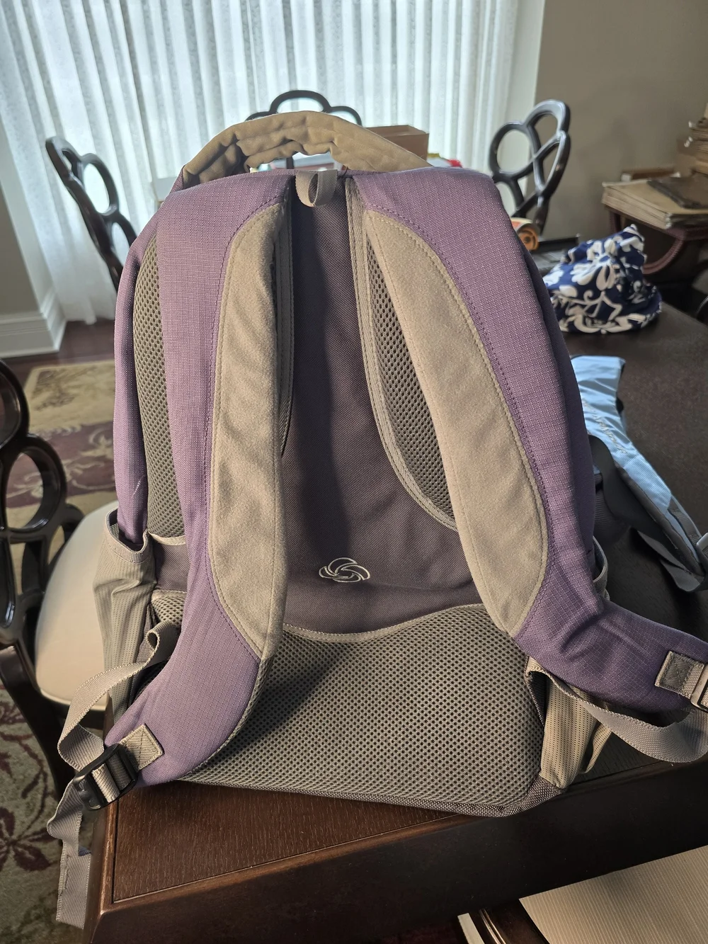Samsonite Purple and Gray Men's Backpack